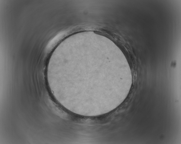 X0000115560197200912181625