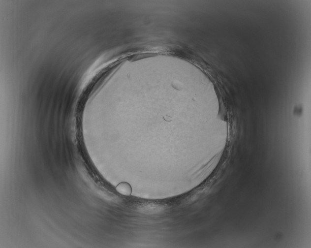 X0000115560198200912181625