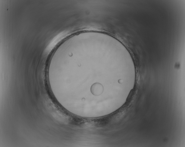 X0000115560199200912181625