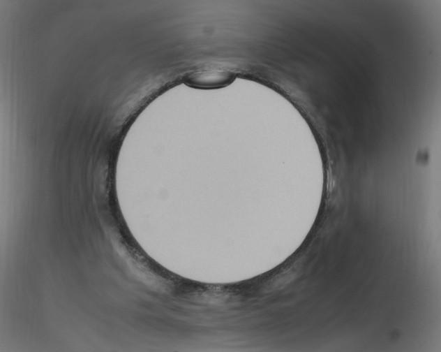 X0000115560201200912181625