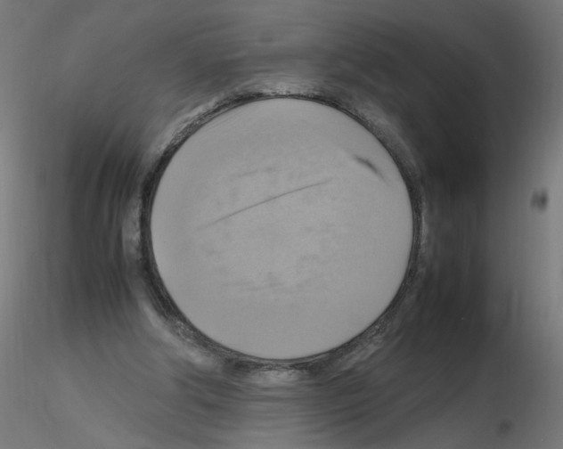 X0000115560202200912181625