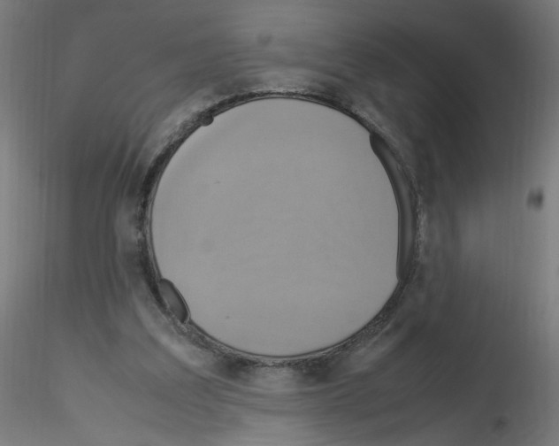 X0000115560203200912181625