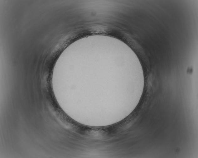 X0000115560209200912181625