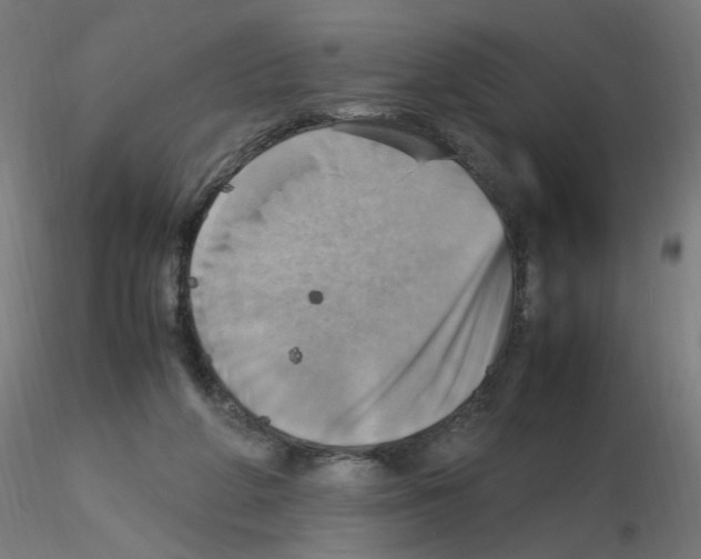 X0000115560210200912181625