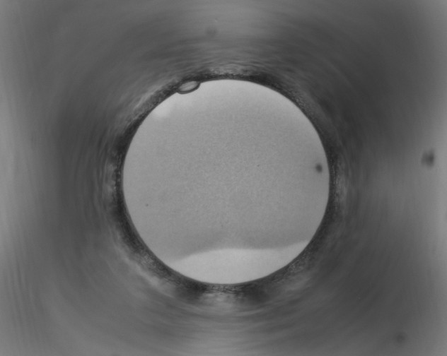 X0000115560211200912181625