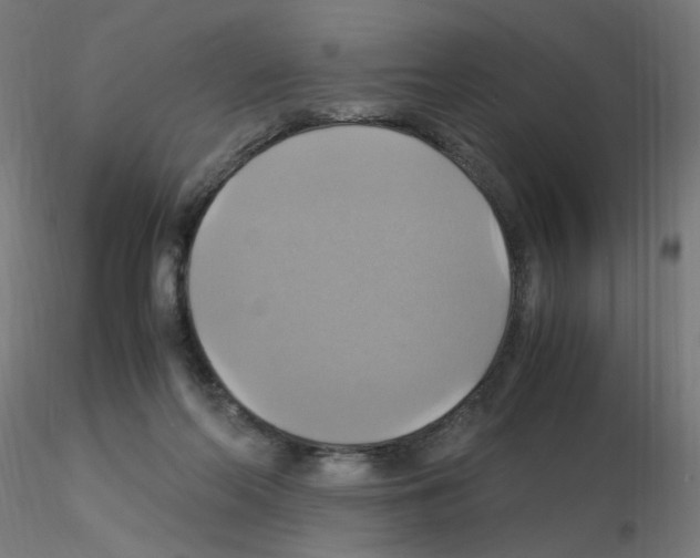 X0000115560214200912181625