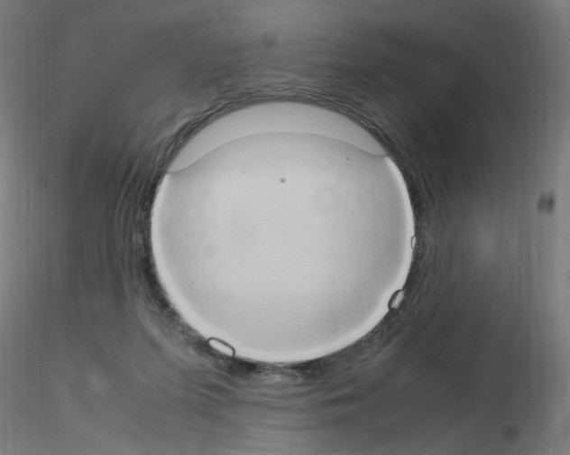 X0000115560215200912181625