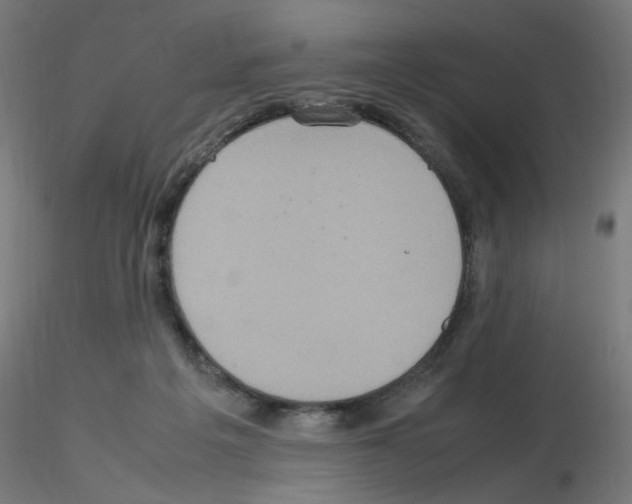 X0000115560217200912181625