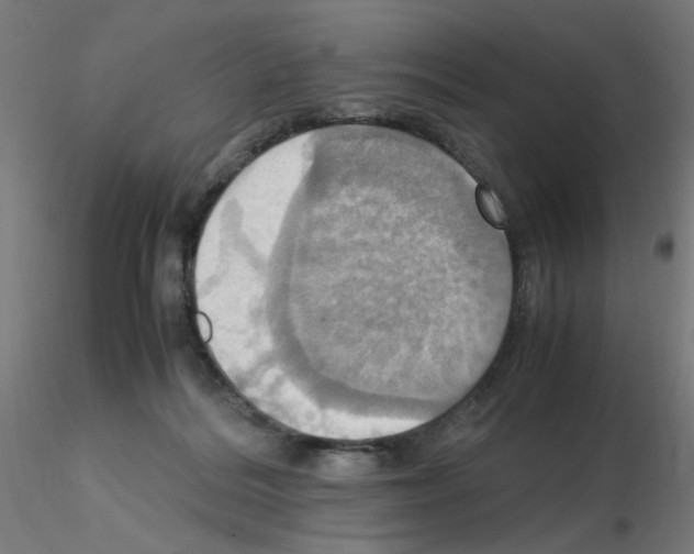 X0000115560220200912181625