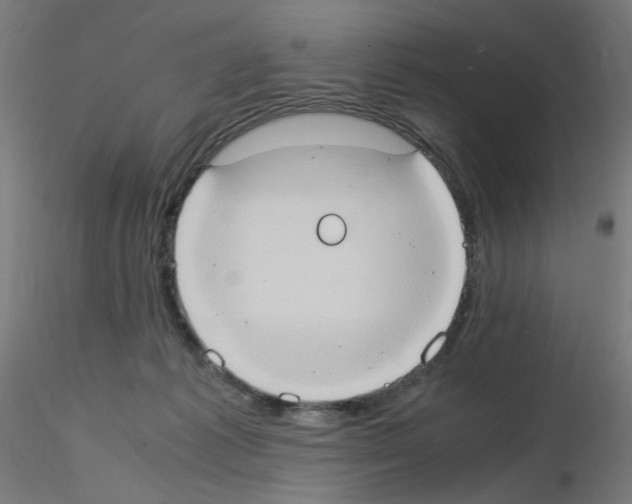 X0000115560221200912181625