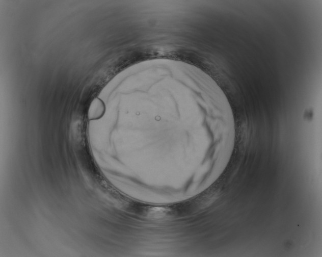 X0000115560222200912181625