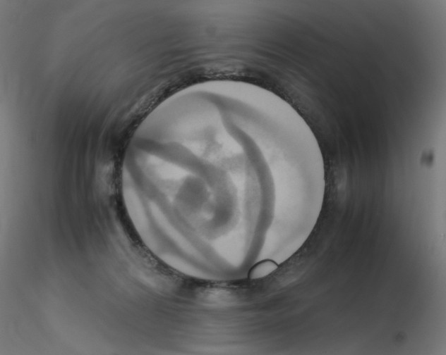 X0000115560224200912181625