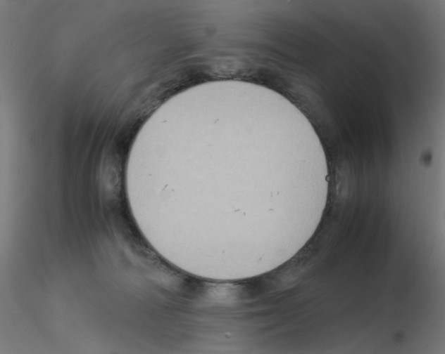 X0000115560226200912181625