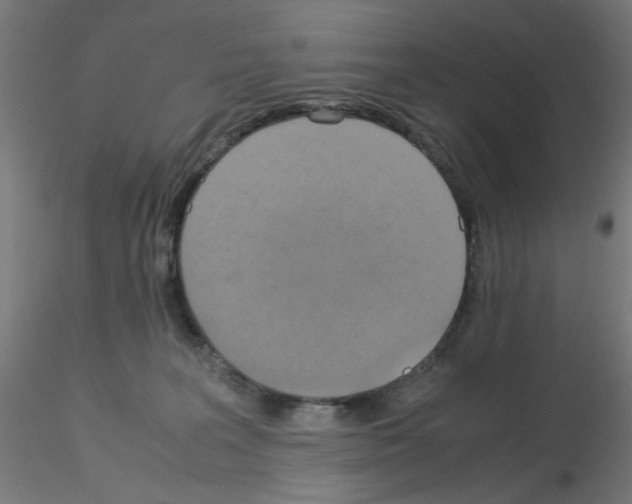 X0000115560227200912181625