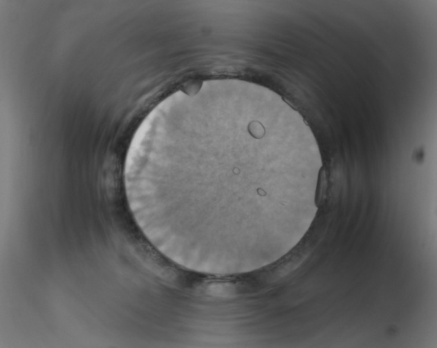 X0000115560228200912181625