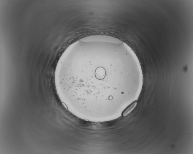 X0000115560229200912181625