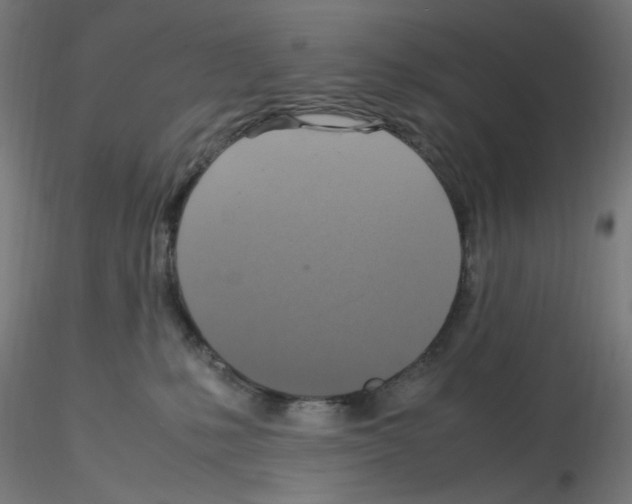 X0000115560231200912181625