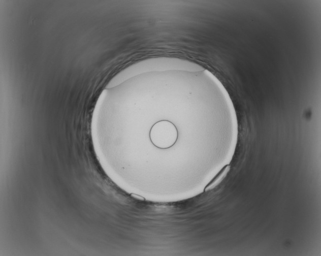 X0000115560233200912181625