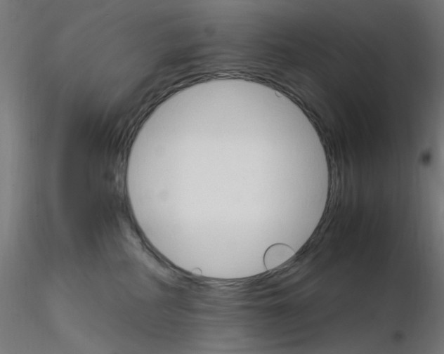 X0000115560234200912181625