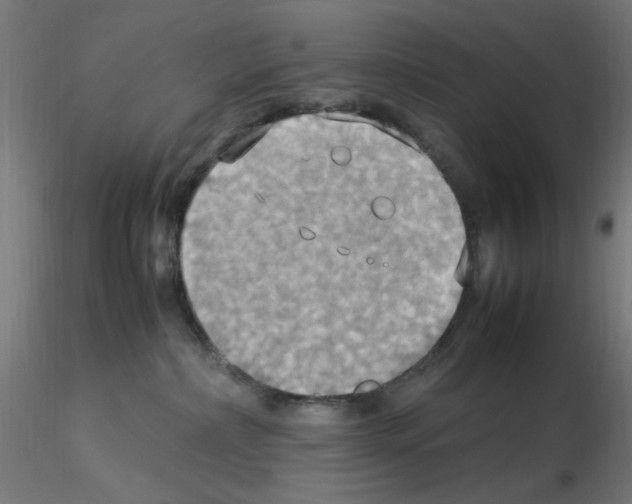 X0000115560236200912181625