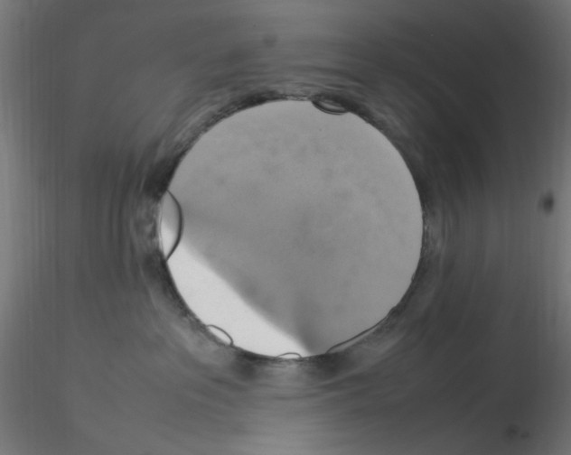 X0000115560237200912181625