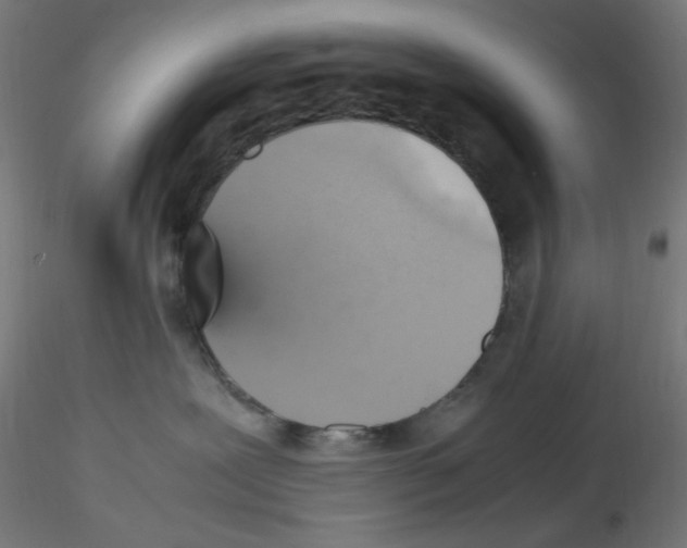 X0000115560239200912181625