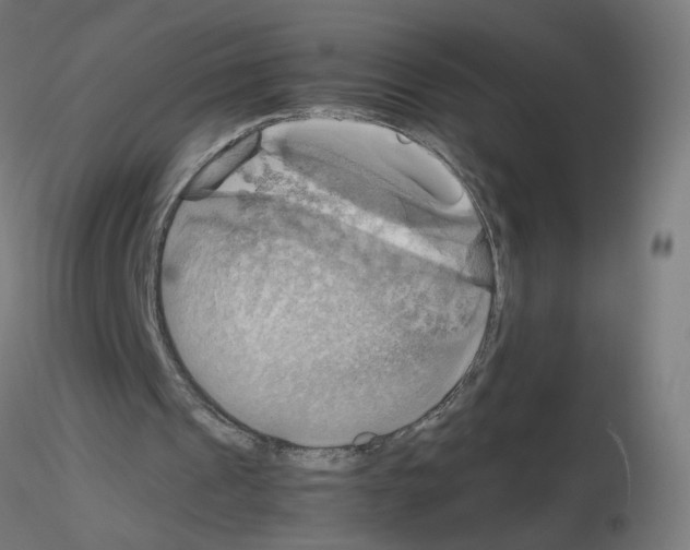 X0000115560241200912181624