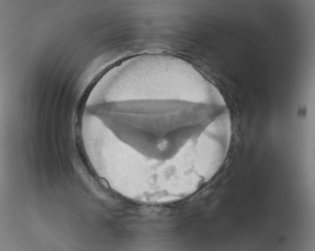 X0000115560242200912181624