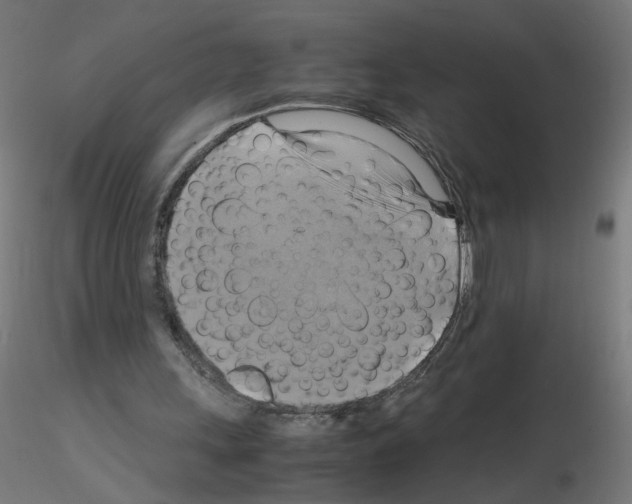 X0000115560243200912181624