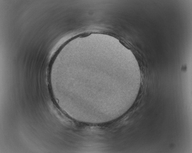 X0000115560244200912181624