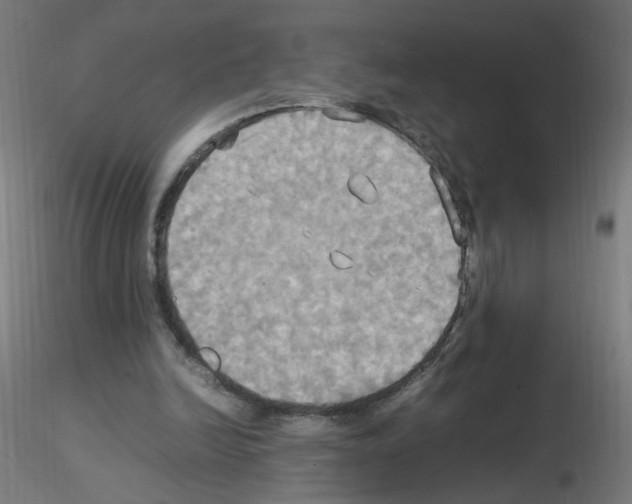 X0000115560246200912181624