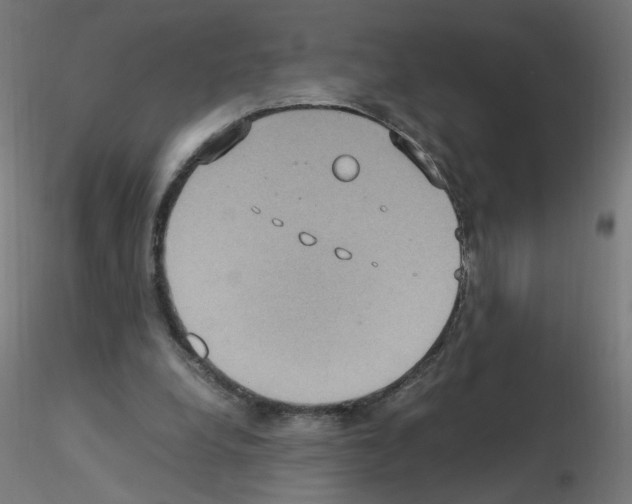 X0000115560248200912181624