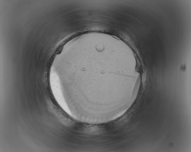 X0000115560249200912181624