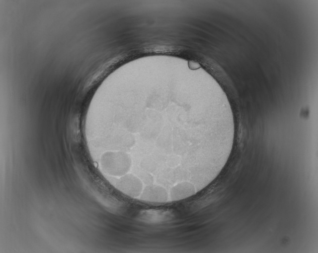 X0000115560251200912181624