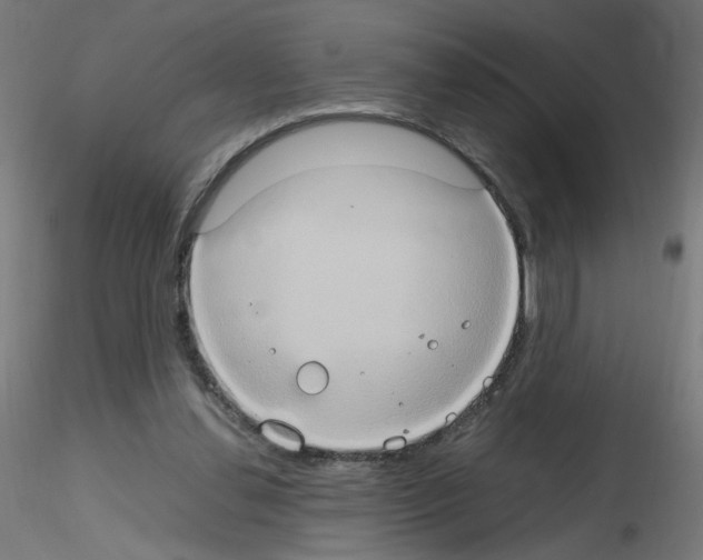 X0000115560252200912181624