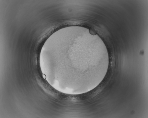 X0000115560254200912181624