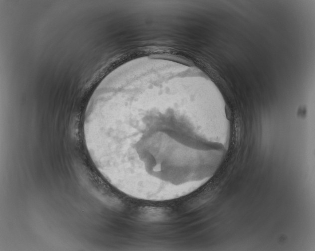 X0000115560255200912181624