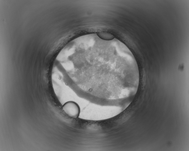 X0000115560258200912181624