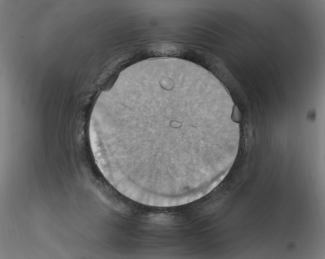 X0000115560259200912181624