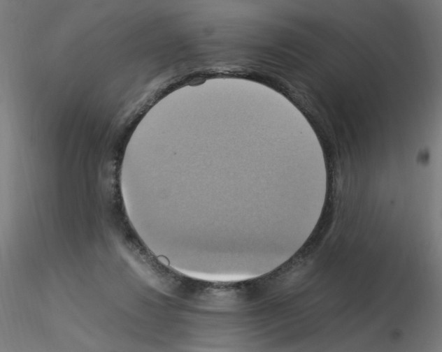 X0000115560260200912181624