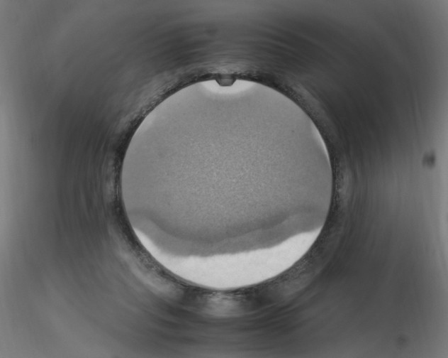 X0000115560261200912181624