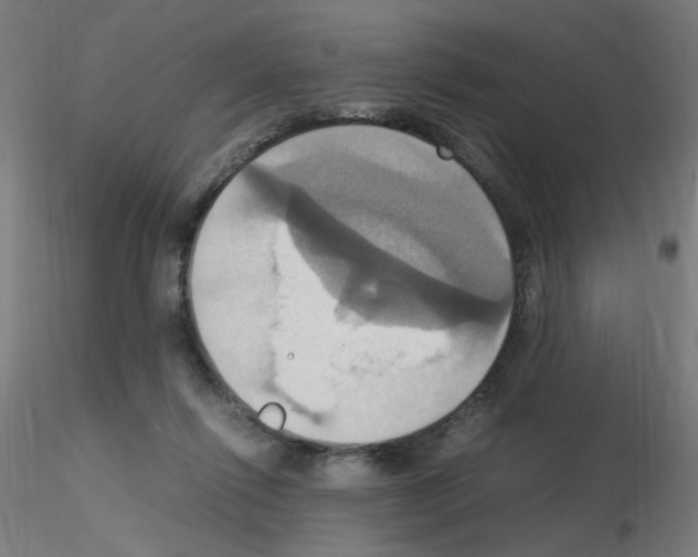 X0000115560262200912181624