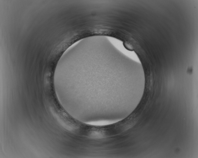 X0000115560263200912181624