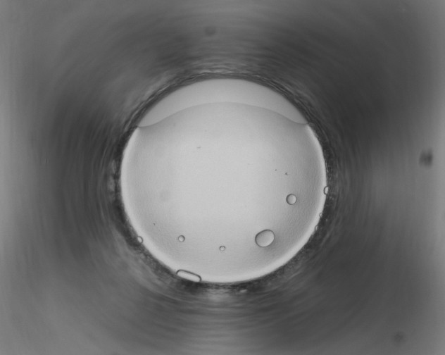 X0000115560264200912181624