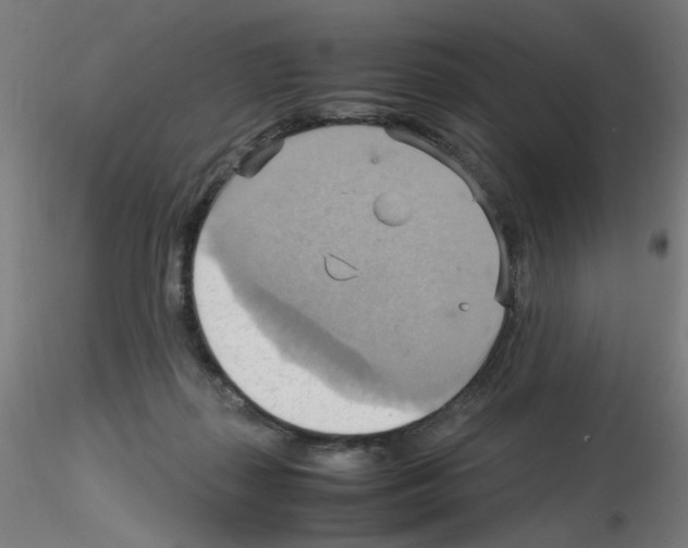 X0000115560267200912181624