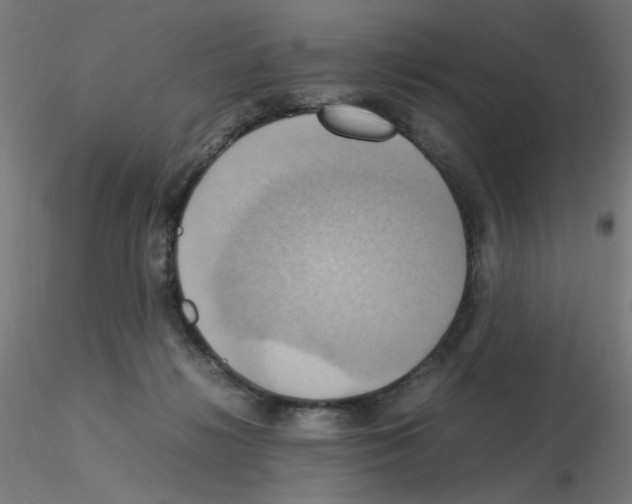 X0000115560268200912181624