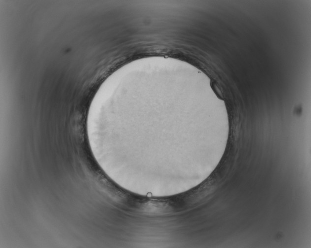 X0000115560270200912181624