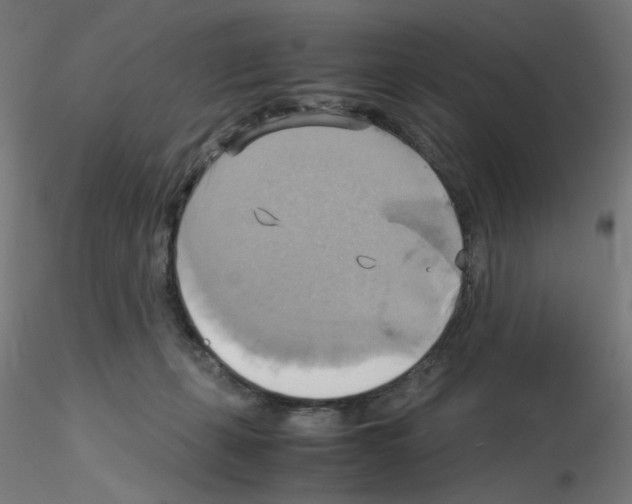 X0000115560271200912181624