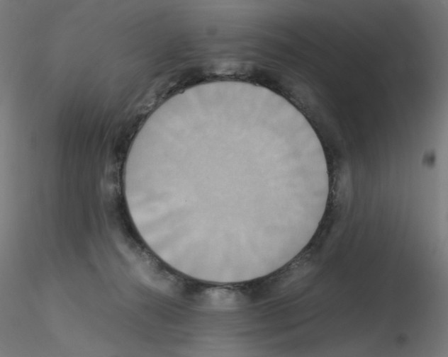 X0000115560272200912181624