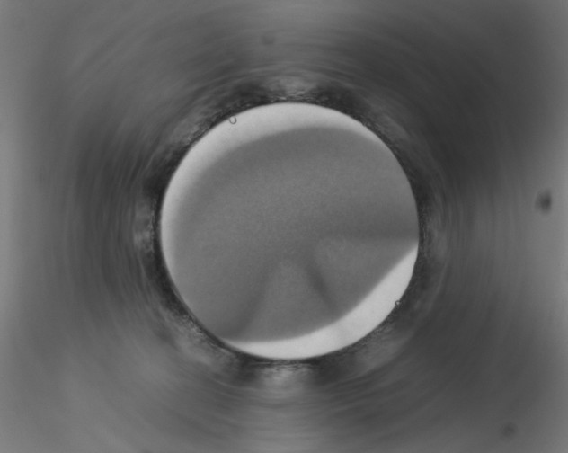 X0000115560274200912181624